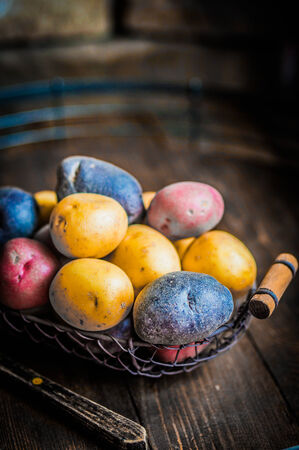 colorful potatoesの写真素材