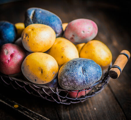 colorful potatoesの写真素材