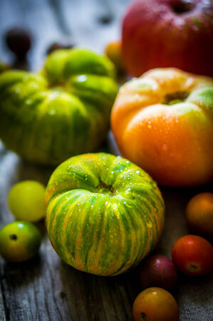 heirloom tomatosの写真素材