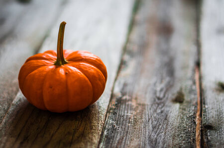 pumpkinの写真素材