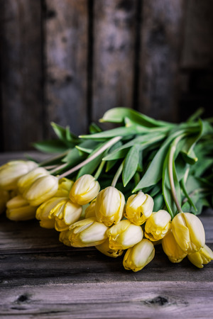 Yellow tulips on wooden backgroundの写真素材