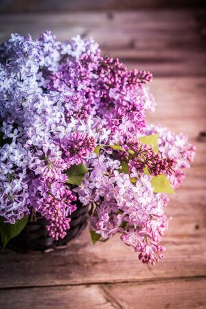 Bouquet of lilacs on wooden backgroundの写真素材