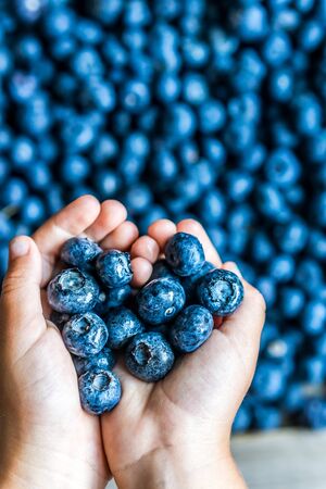 Closeup of fresh blueberriesの写真素材