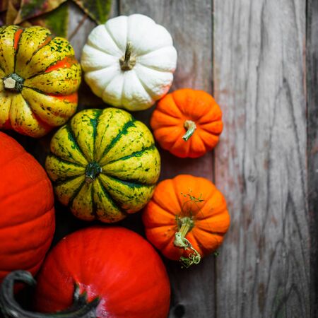 Colorful pumpkins and fall leaves on rustic wooden backgroundの写真素材