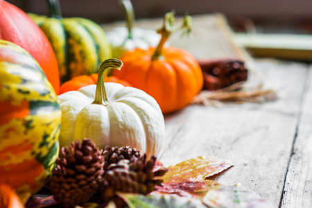 Colorful pumpkins and fall leaves on rustic wooden backgroundの写真素材