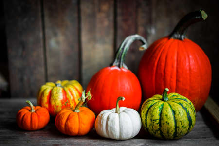 Colorful pumpkins and fall leaves on rustic wooden backgroundの写真素材
