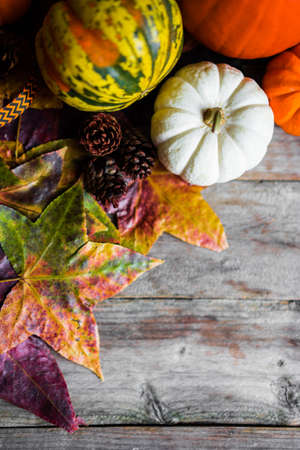Colorful pumpkins and fall leaves on rustic wooden backgroundの写真素材