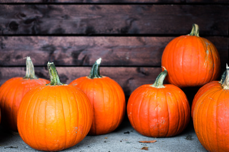 Pumpkins at the farmの写真素材
