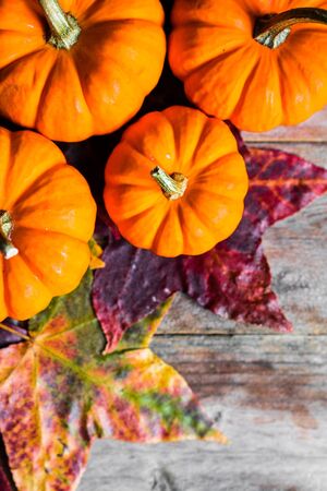 Colorful pumpkins and fall leaves on rustic wooden backgroundの写真素材