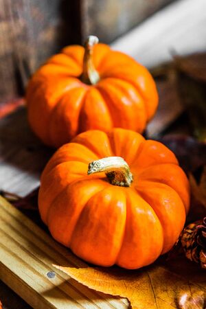 Colorful pumpkins and fall leaves on rustic wooden backgroundの写真素材