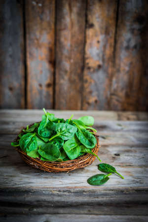 Fresh spinach on rustic wooden backgroundの写真素材