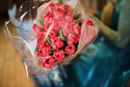 Red peony tulips in a gift box. Close up photo.の写真素材