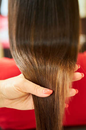 Straight hair. Dark hair color. Well-groomed hairの写真素材