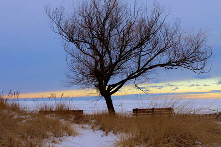 Lone tree and park bench awaiting warmer weather and the crush of summer tourist  Port Crescent State Park  Port Austin, Michigan の写真素材