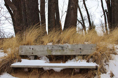 Alone  A lone park bench engulfed by an enroaching sand dune and snow  Port Crescent State Park  Port Austin, Michigan の写真素材