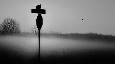 Crossroads shrouded in early morning fog  の写真素材