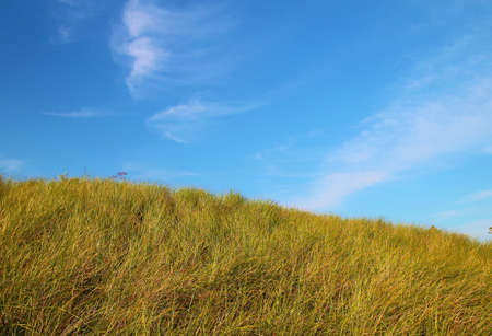 Dune grass covers a sand dune reaching for the clear blue sky  Port Crescent State Park  Port Austin, Michigan の写真素材