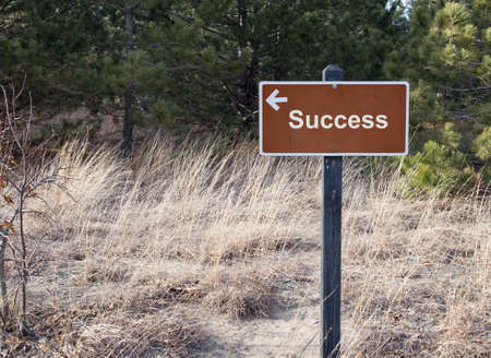 The Road To Success Sign in a remote landscape with arrow pointing the way to success 