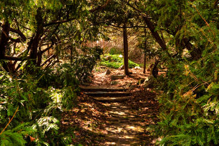 Peace In The Garden  Peaceful pathway through a lush green garden 