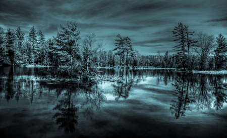 A barren wilderness cries out for global initiatives in conservation and preservation of the...