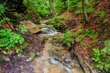A babbling brook flows through the wilderness of Michigan s Upper Peninsula  の写真素材