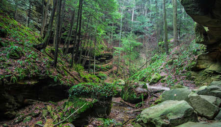 Conkles Hollow. View of the beautiful wilderness of the Conkles Hollow area of Hocking Hills State Park. Logan, Ohio.の写真素材