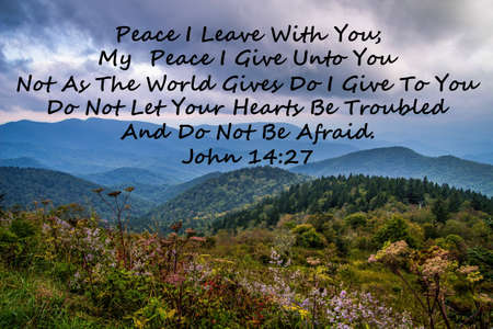 Peace. Wildflowers of the Appalachian Mountains and scripture quotation from the Book of John.の写真素材