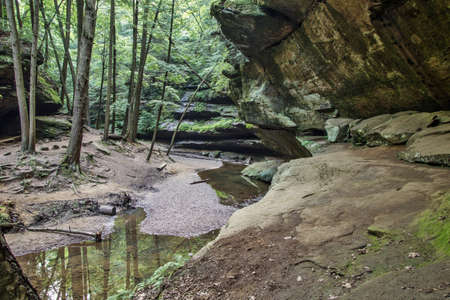 Hocking Hills Forest. The beauty of the Hocking Hills State Park forest. Hocking Hills is one of the most popular tourist destinations in Ohio. Logan, Ohio.の写真素材
