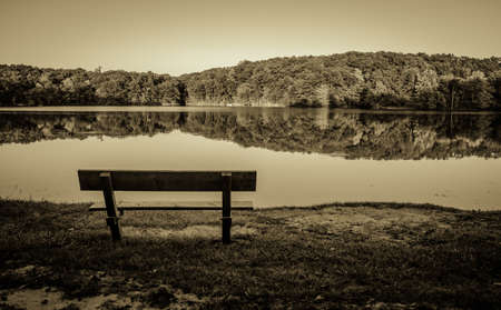 Black And White Lakeshore. Single park bench on the shores of Lake Minnewana in Metamora-Hadley State Park in Lapeer, Michigan.の写真素材