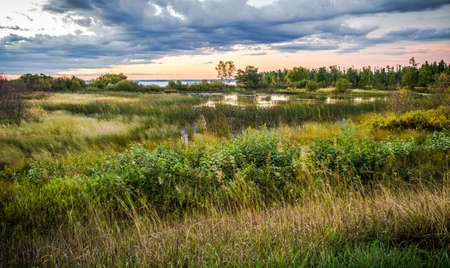 Tahquamenon River Wetlands Habitat. Wetlands along the Tahquamenon River with Lake Superior at the horizon. Tahquamenon Falls State Park. Paradise, Michigan.の写真素材