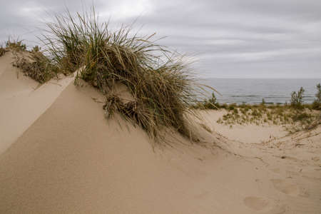 Sand Dune Background. Sand dune topped with dune grass on the shores of Lake Michigan in Silver Lake State Parkの写真素材