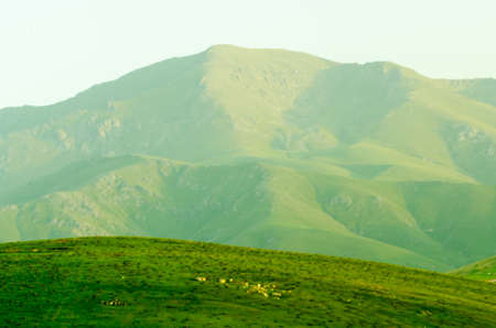 Mountainの写真素材