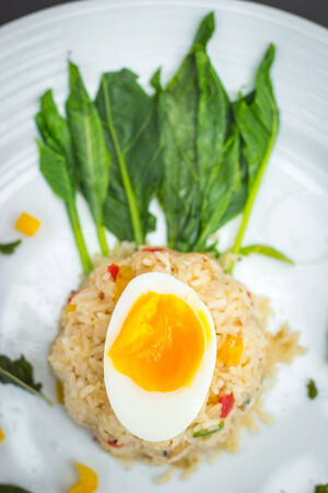 Alien foodの写真素材