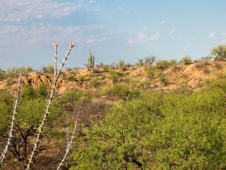 Desert Landscapeの写真素材