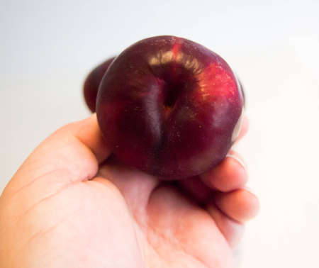 Sweet Red Plumの写真素材