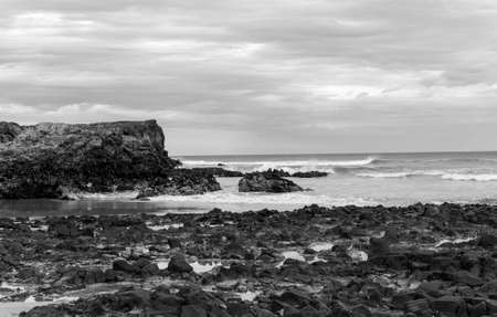 back and white landscape