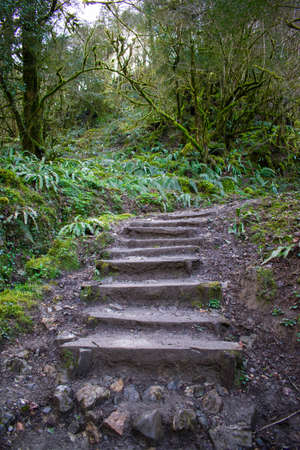 Stone stairs and the surroundings near the gorges of Kakueta, in Sainte-EngrÃ¢ce (France)