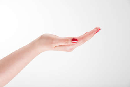 female handの写真素材