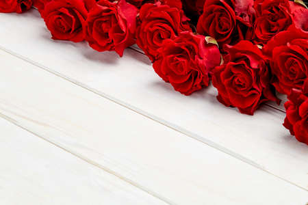 Buds of red roses on white wooden backgroundの写真素材