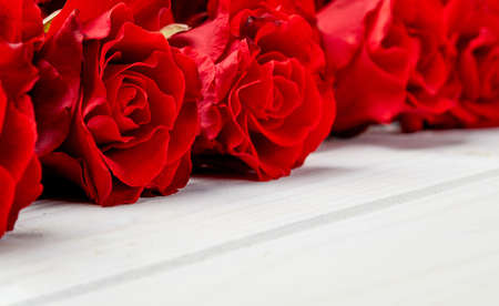 Buds of red roses on white wooden backgroundの写真素材