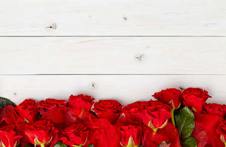 Buds of red roses on white wooden backgroundの写真素材
