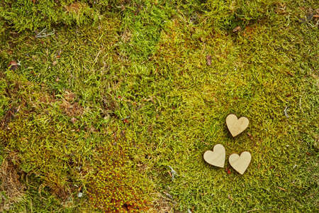 Green background of forest moss with wooden heartsの写真素材