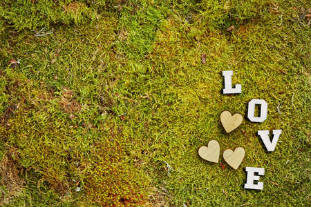 Green background of forest moss with white love and wooden heartsの写真素材