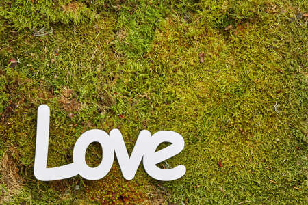 Green background of forest moss with white love and wooden heartsの写真素材
