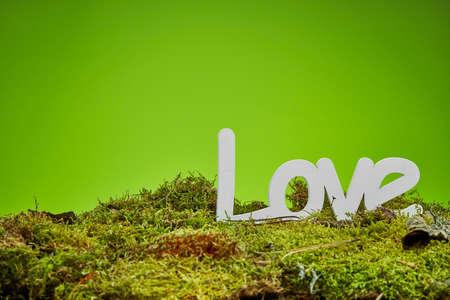 Green background of forest moss with white loveの写真素材
