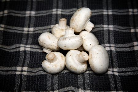 Mushrooms