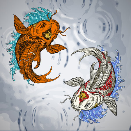 Japanese Koi Fish Artwork Drawing Illustrationのイラスト素材