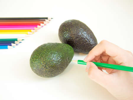 looks like drawing avocados with the colored pencilの写真素材