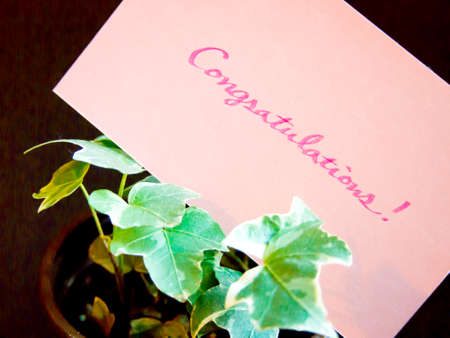 A message card for your family and friends.の写真素材