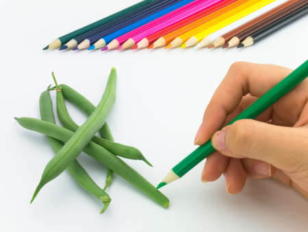 Looks like grawing fruits and vegetables on white background.